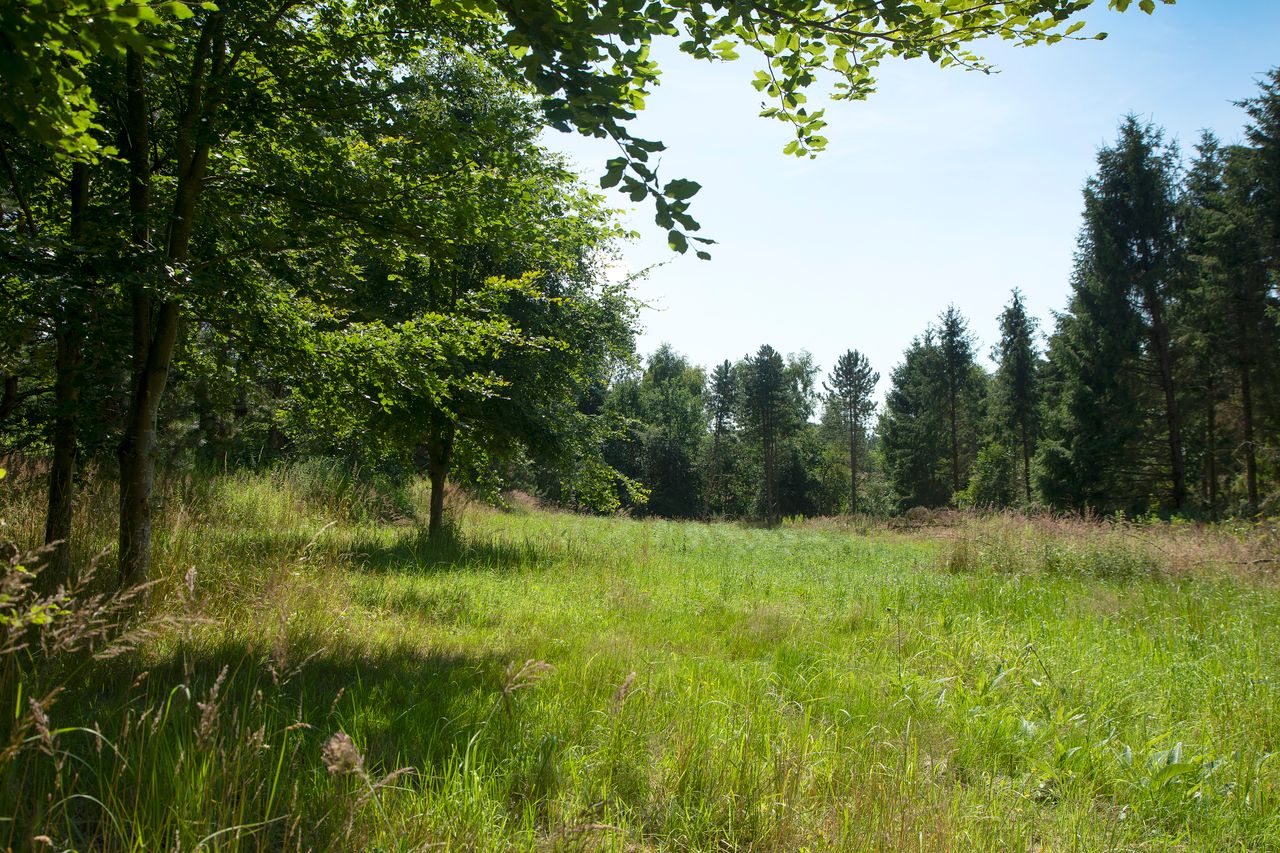 image 03