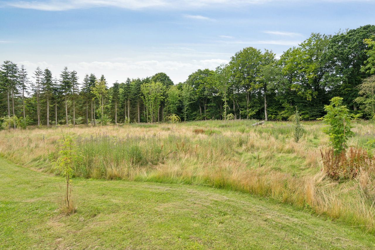 image 04