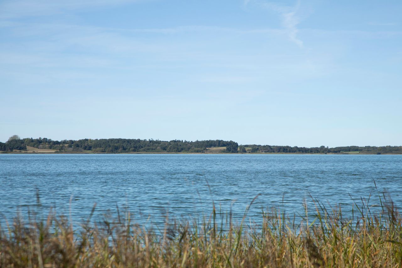 image 03